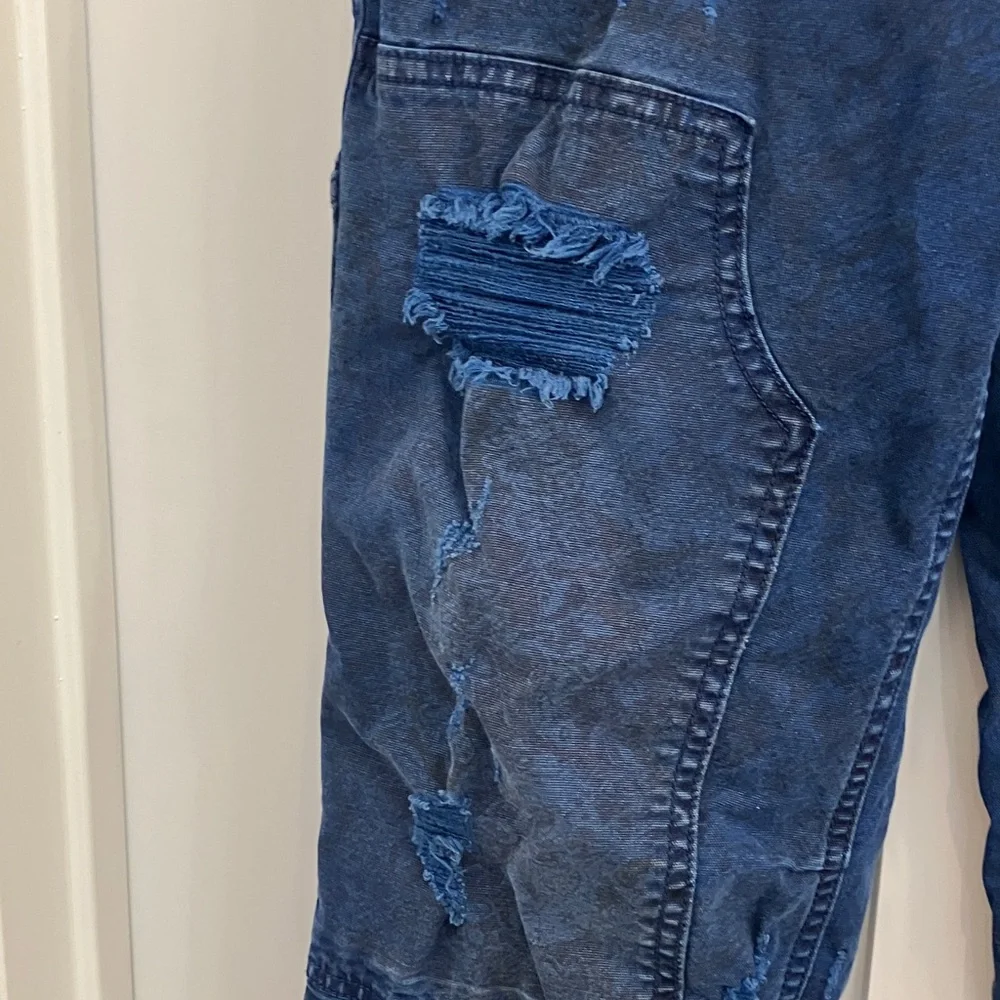 Anthropologie Wanderer Distressed Blue Pants - Picture 7 of 16